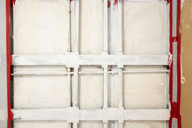 Best Mold Damage Restoration  in Woodville, FL