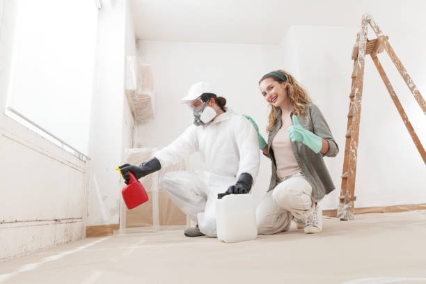 Best Attic Mold Removal  in Woodville, FL