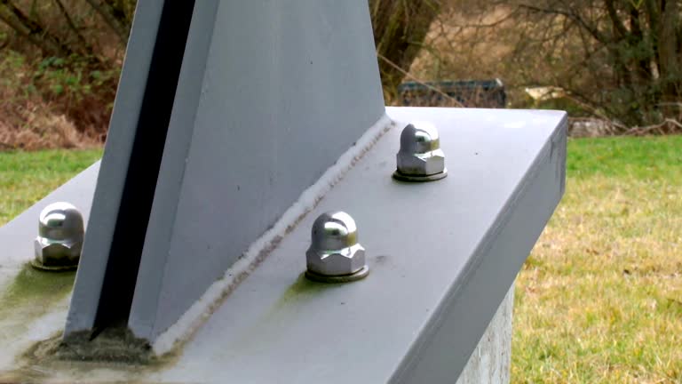 Best Comprehensive Air Testing for Mold Contaminants  in Woodville, FL